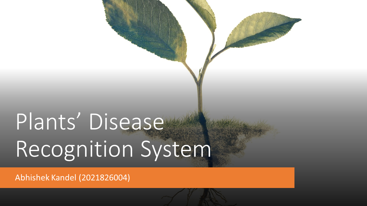 Plant Disease Recognition System